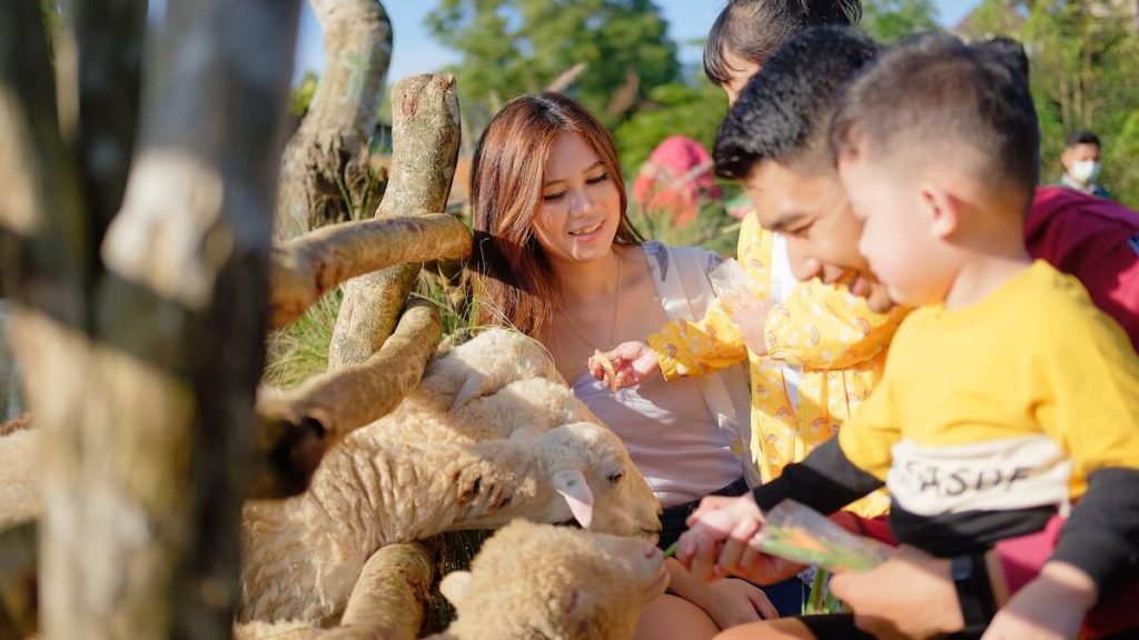 Traveling Cerdas: Mengajak Anak Memahami Keberagaman Indonesia Sejak Usia Dini